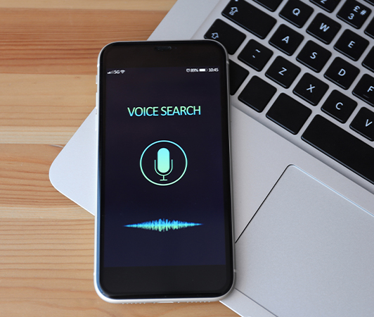 Voice SMS / IVR Call